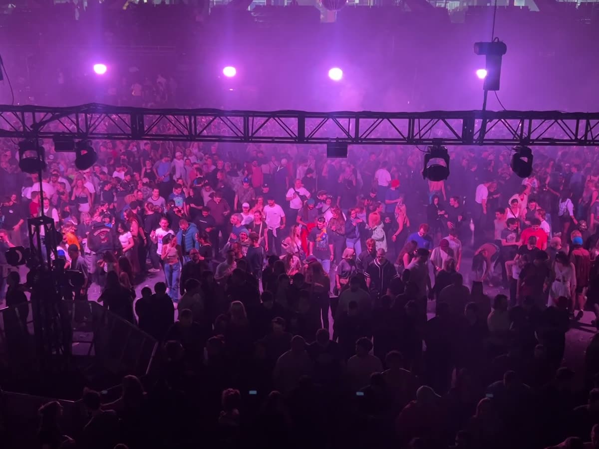 Crowd at a live show under purple stage lights